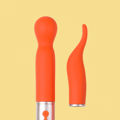 The Naughty Collection - 2 Heads Interchangeable Vibe